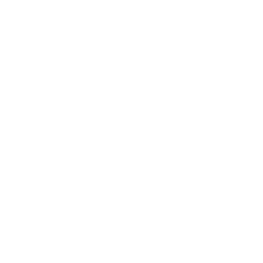 Sarehole Festival